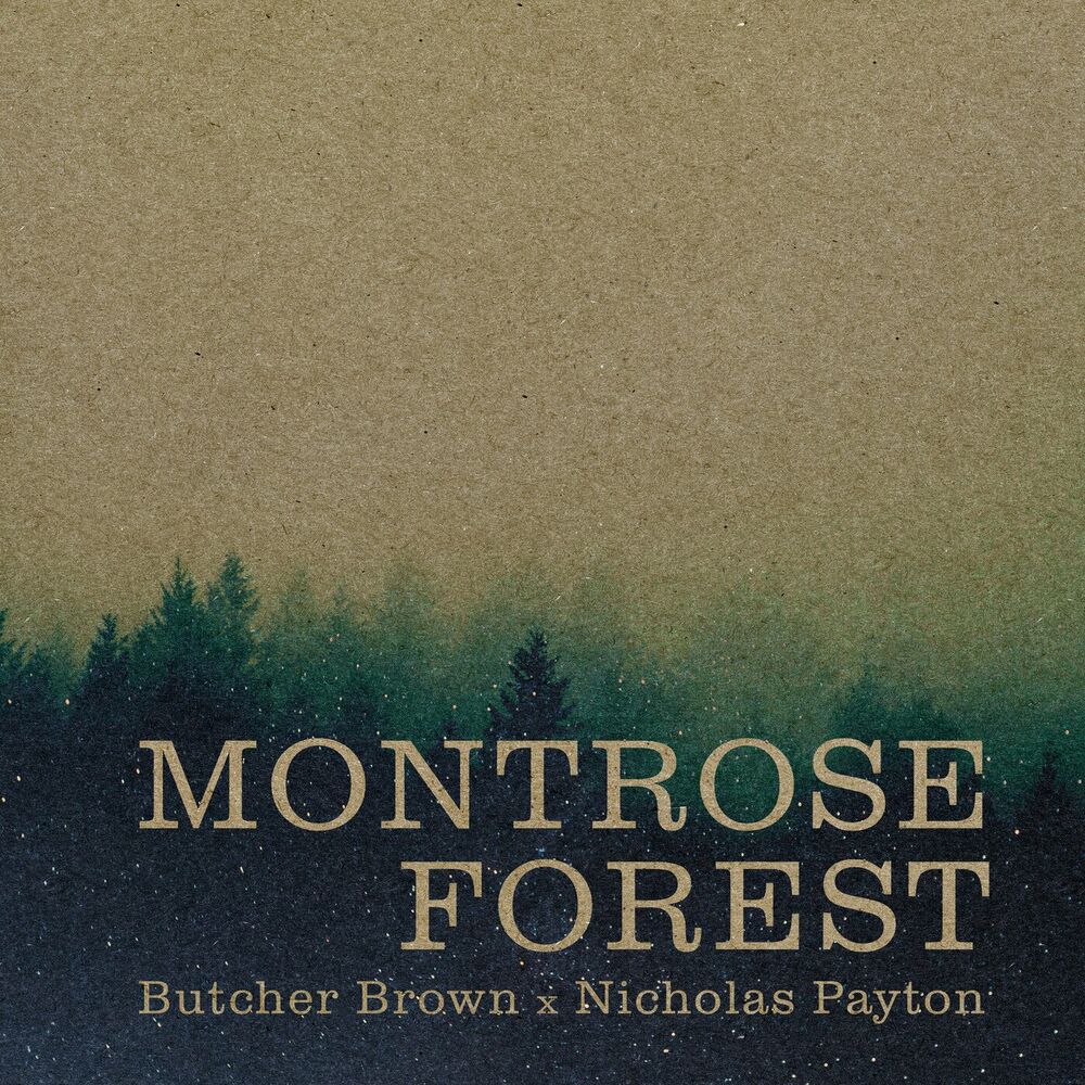 Picture of Montrose Forest