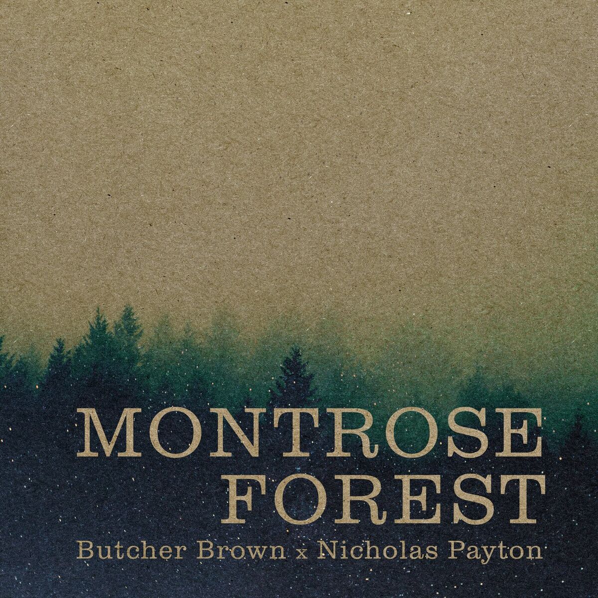 Album cover of Montrose Forest