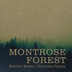 Cover of Montrose Forest