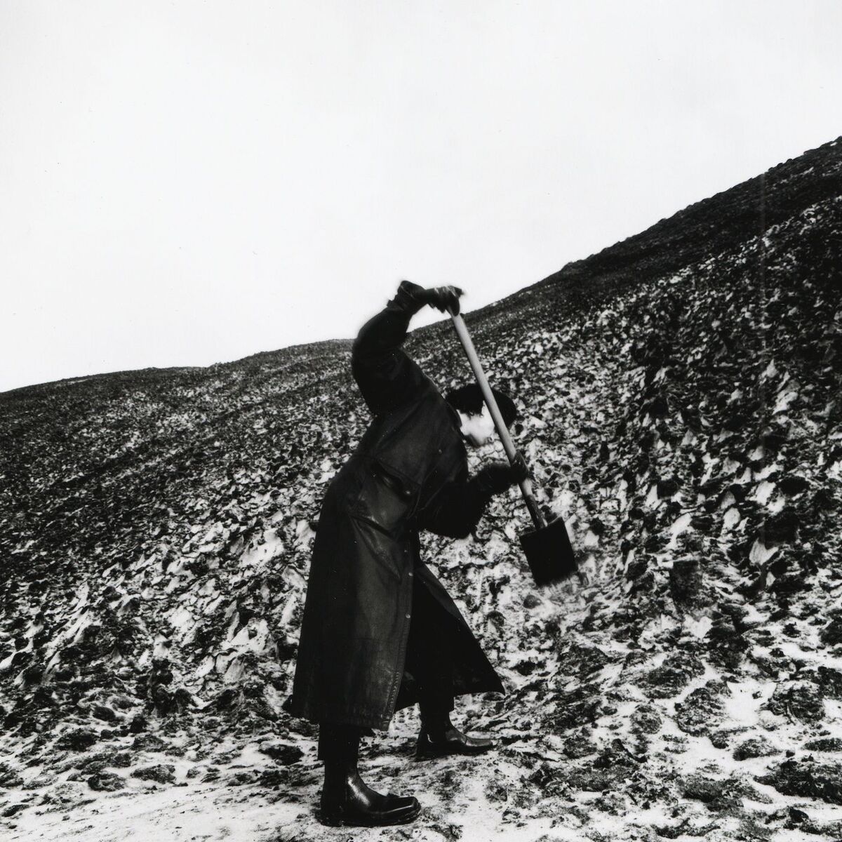 Album cover of Ich hab von der Musik geträumt