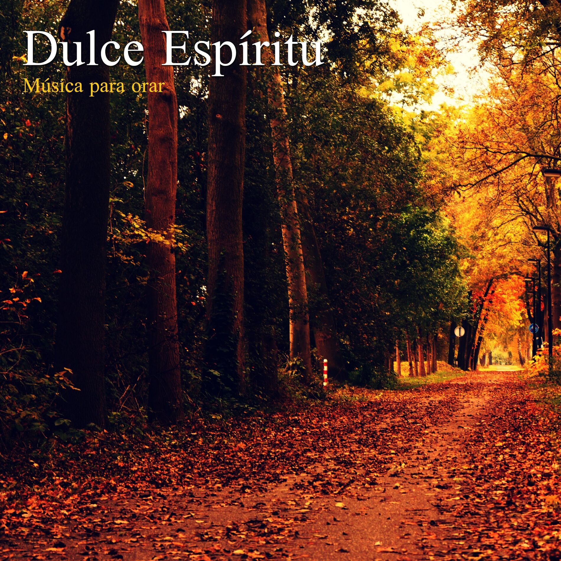 Album cover of Dulce Espíritu