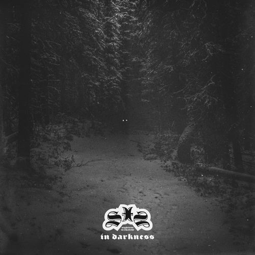 In Darkness