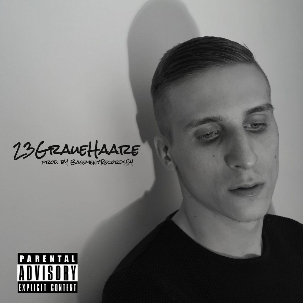 Picture of 23 graue Haare