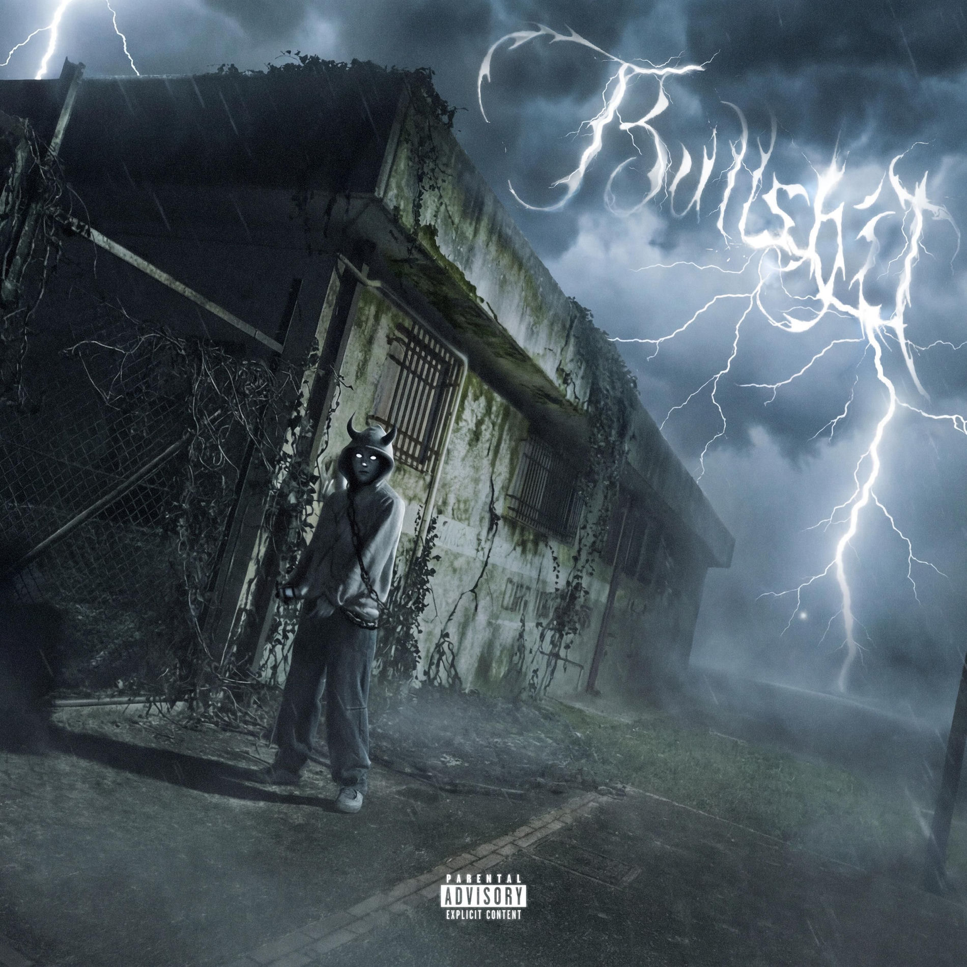 Album cover of BULLSHIT