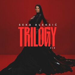 music cover