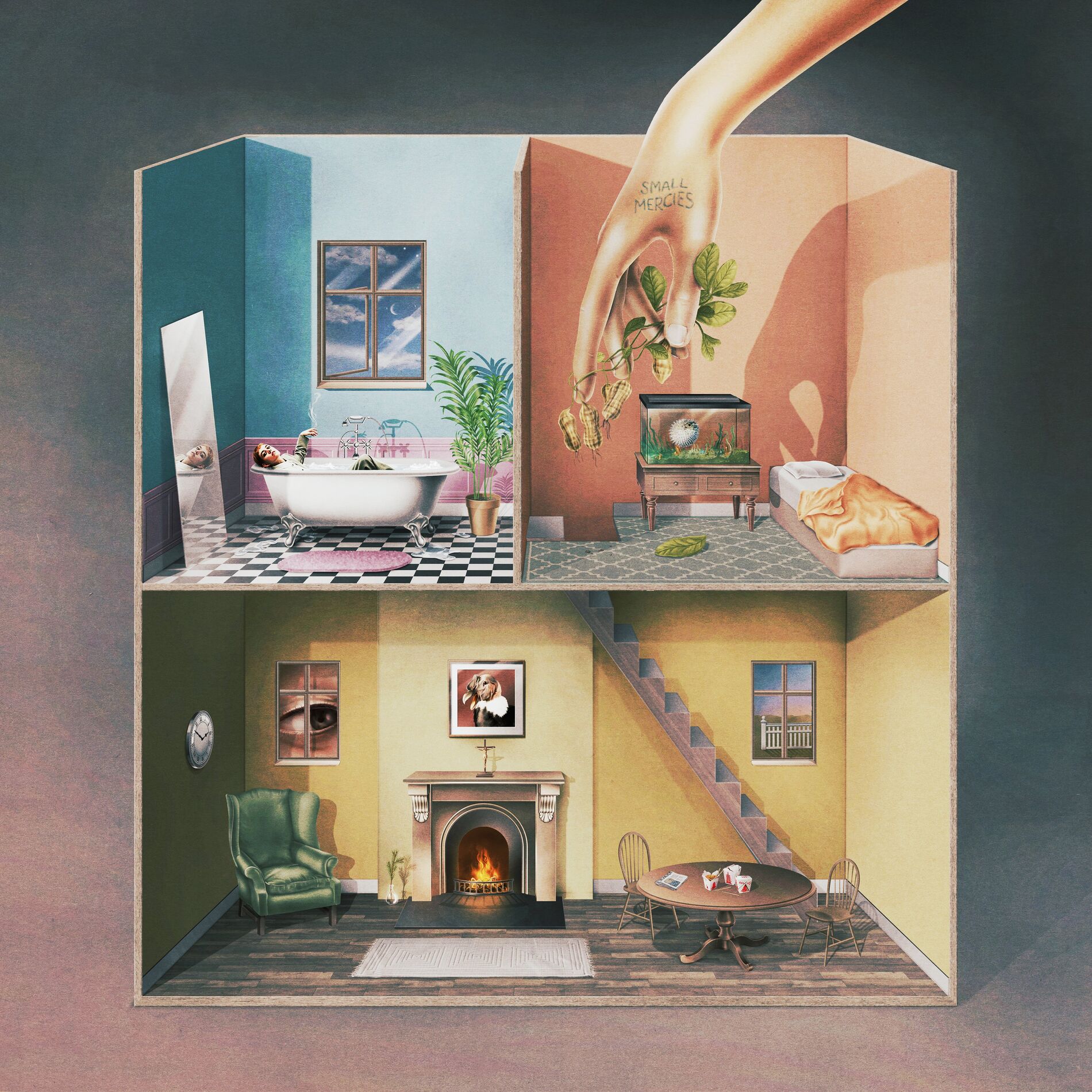 Album cover of Small Mercies
