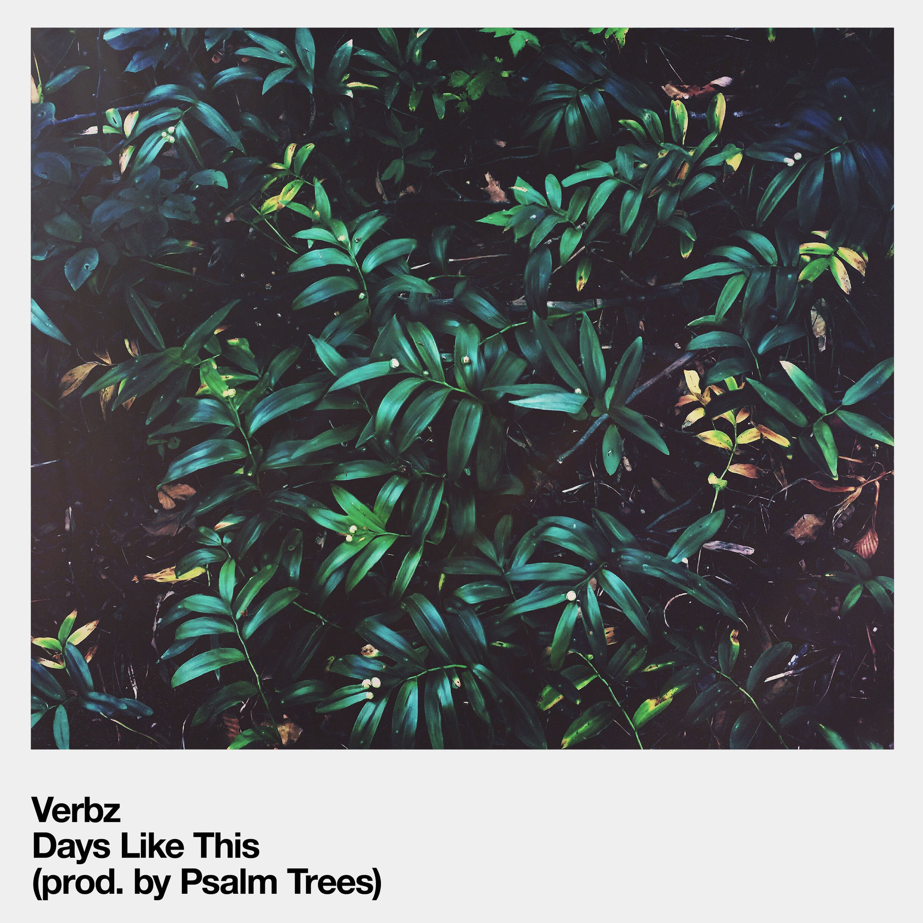 Album cover of Days Like This