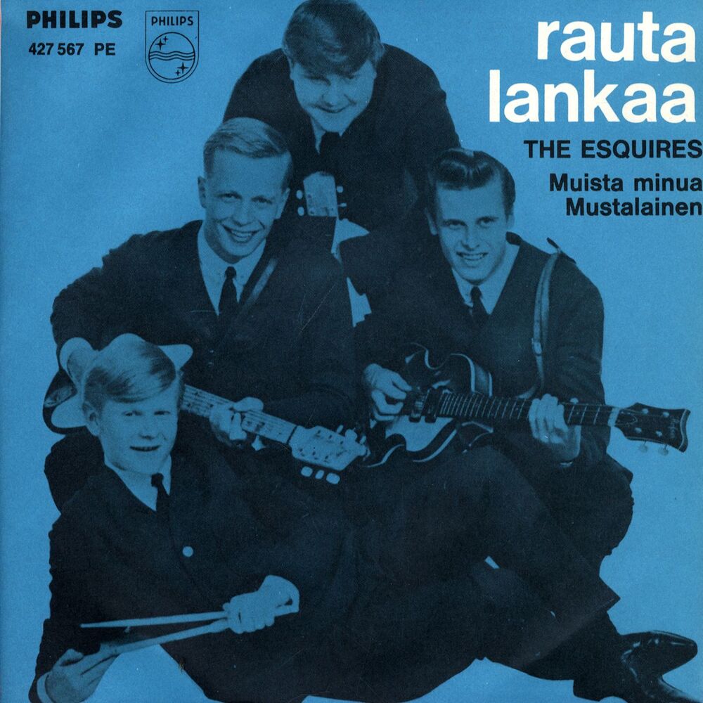 Picture of Rautalankaa