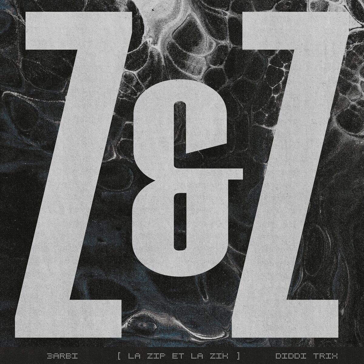 Album cover of La Zip & La Zik
