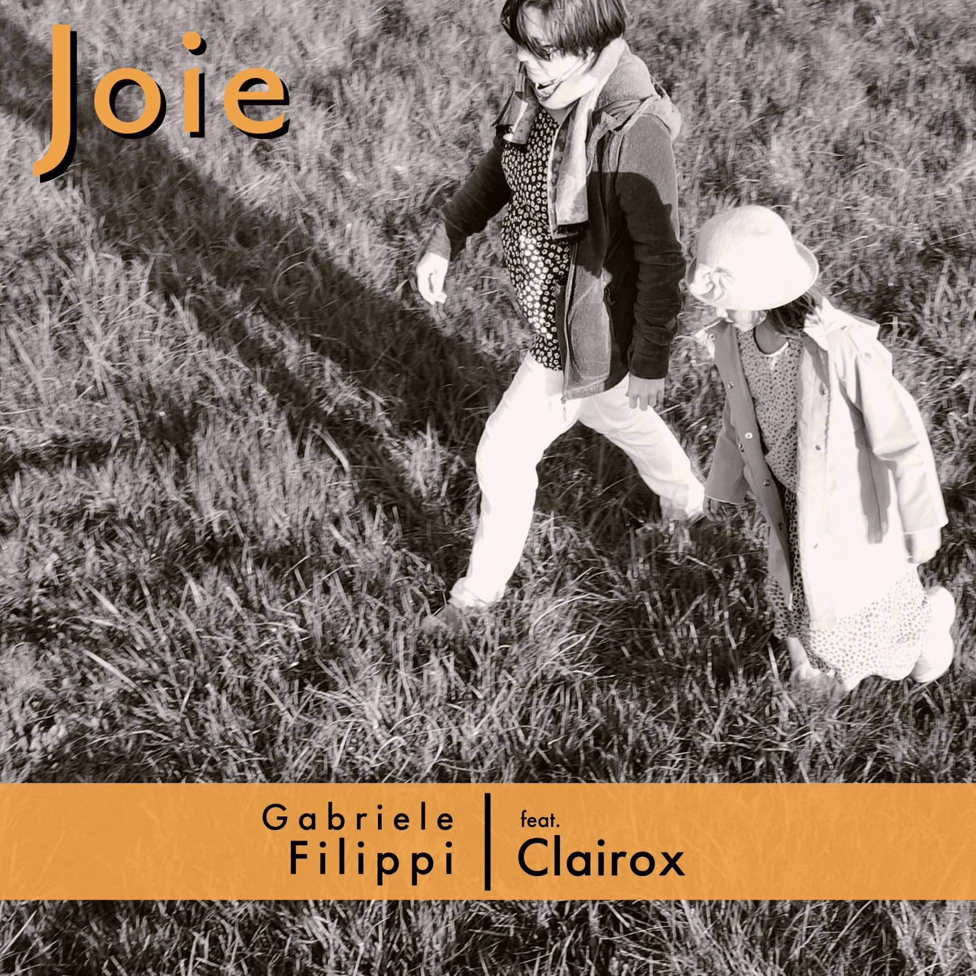 Album cover of Joie