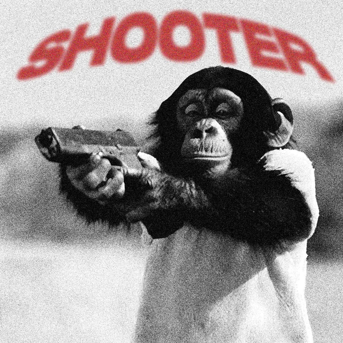 Album cover of Shooter