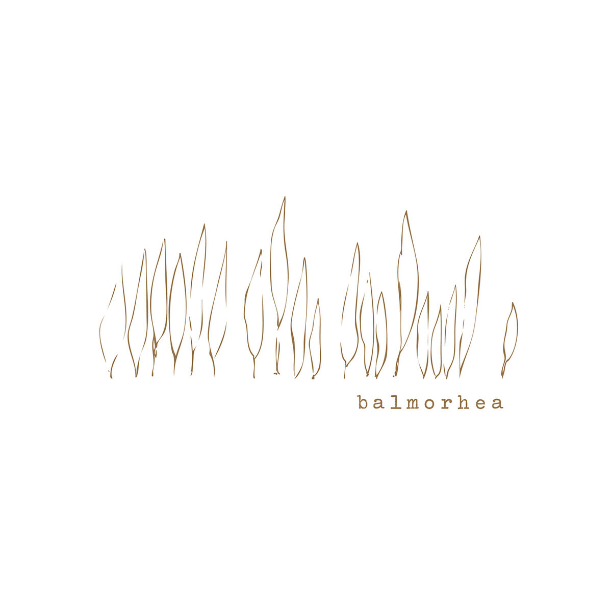 Album cover of If You Only Knew the Rain