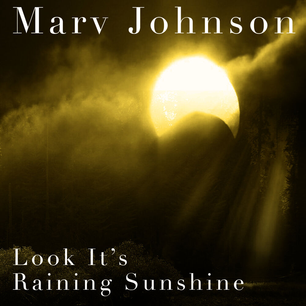 Picture of Look It's Raining Sunshine