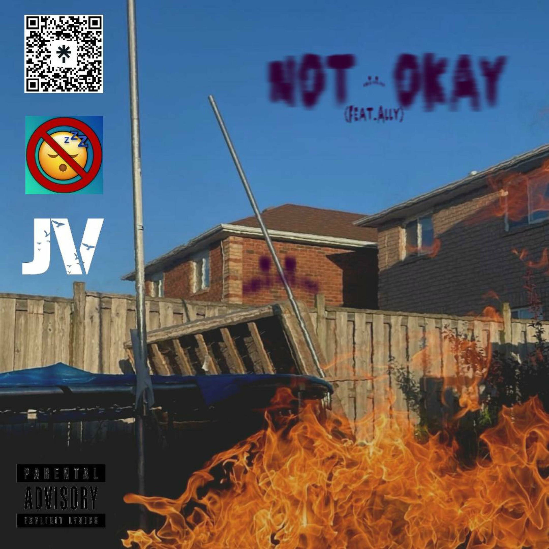 Album cover of Not Okay (feat. Ally)