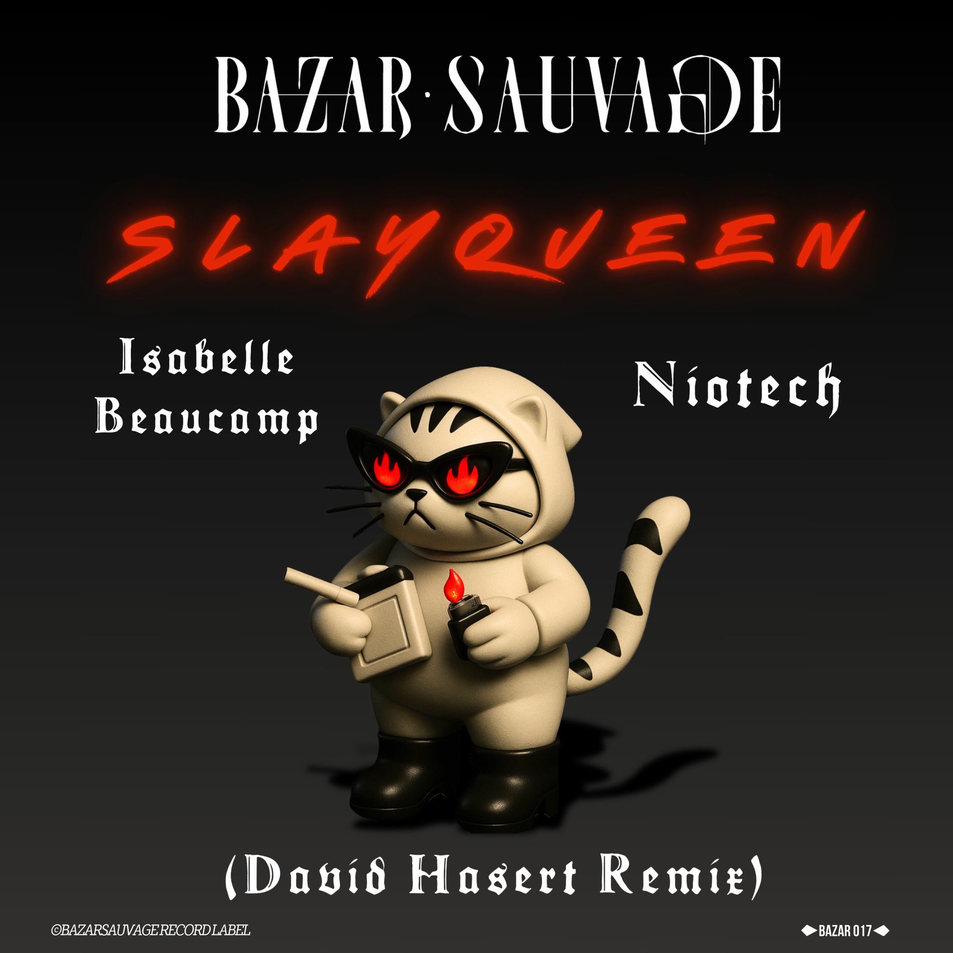 Album cover of Slayqueen (David Hasert Remix)