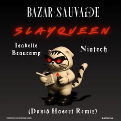 Slayqueen (David Hasert Remix)