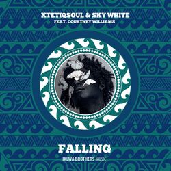 Cover of Falling