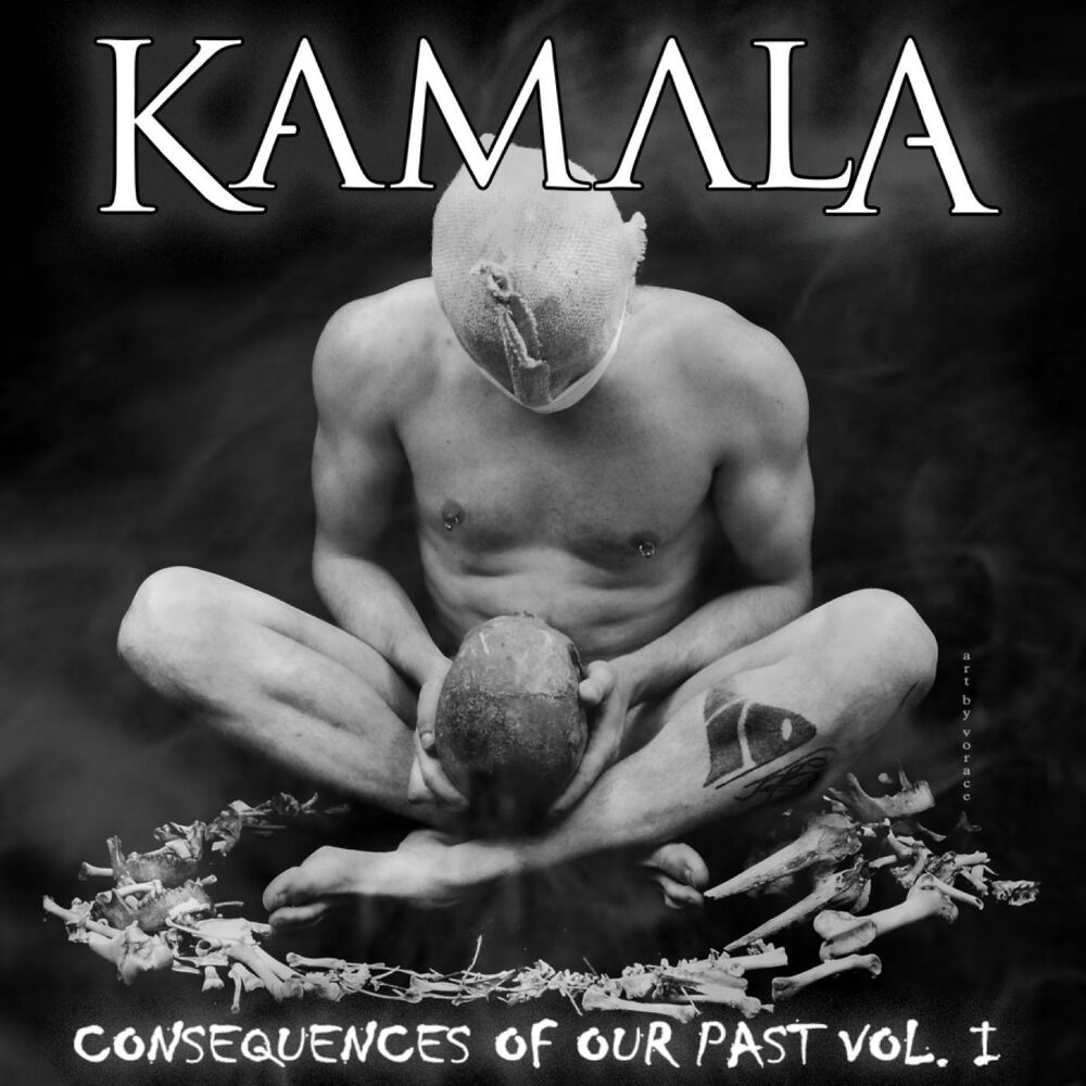 Picture of Consequences of Our Past, Vol. I