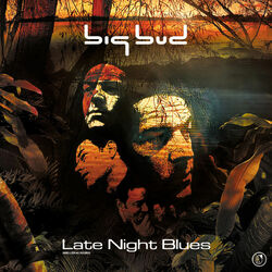 Cover of Late Night Blues