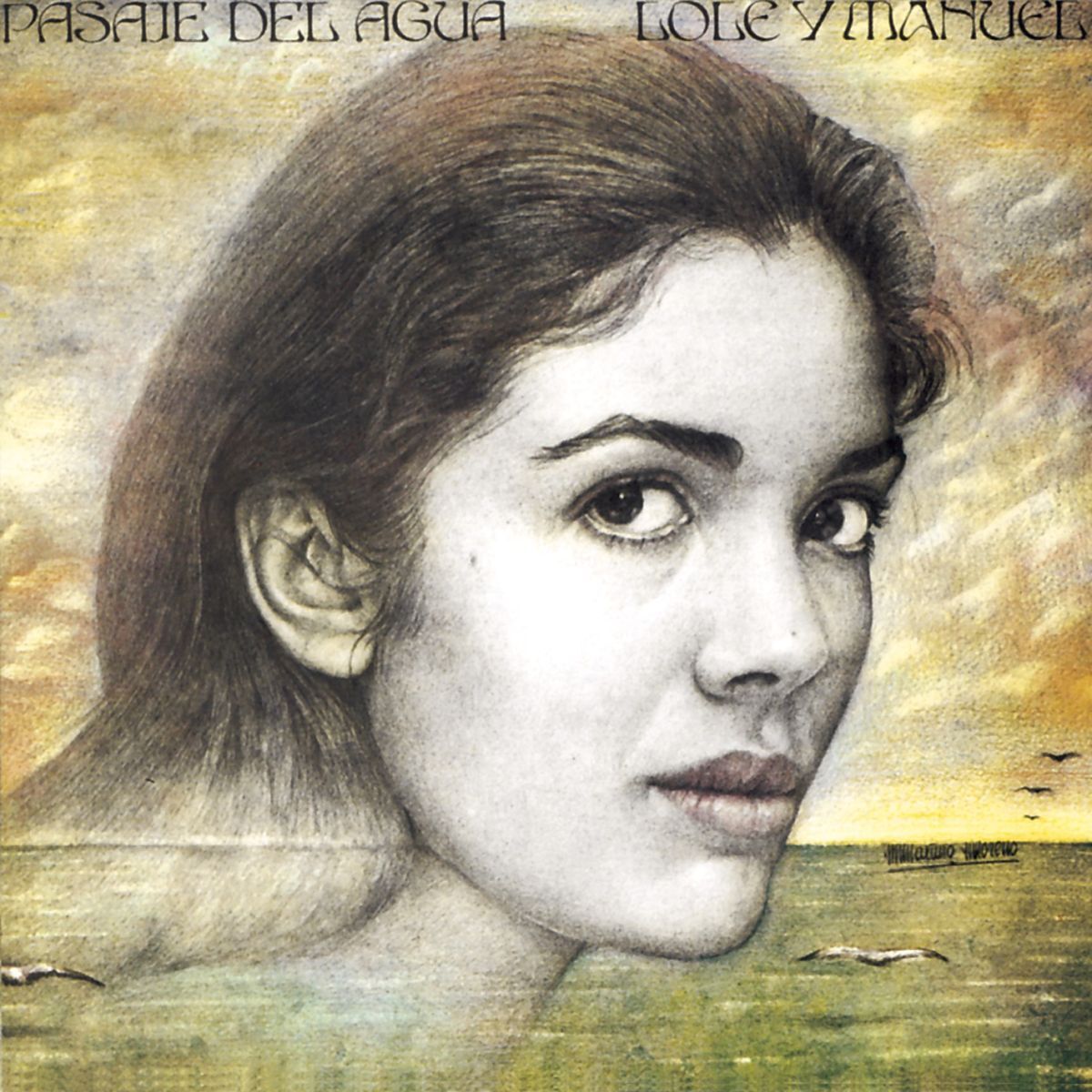 Album cover of Pasaje Del Agua