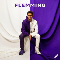 Cover of FLEMMING