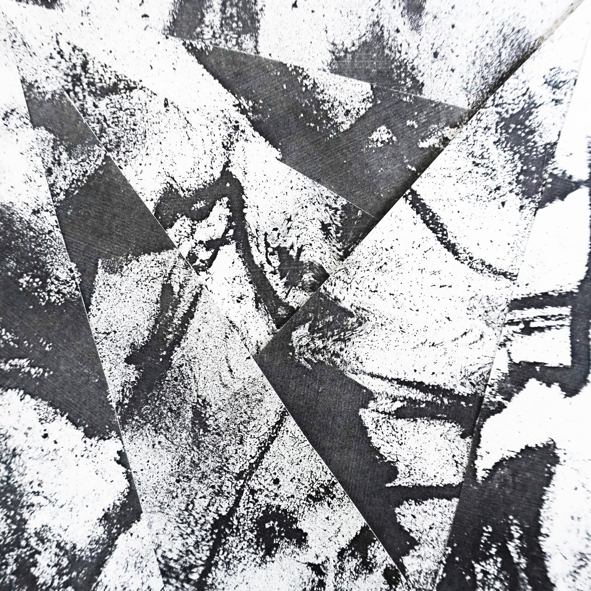 Album cover of Mycelium