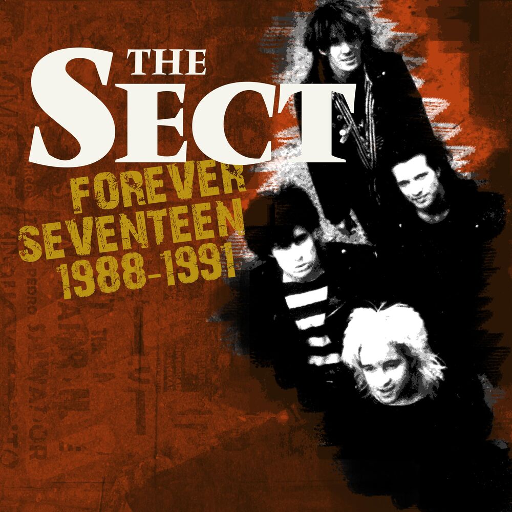 Picture of Forever Seventeen 1988-1991