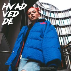 Cover of Hvad ved de
