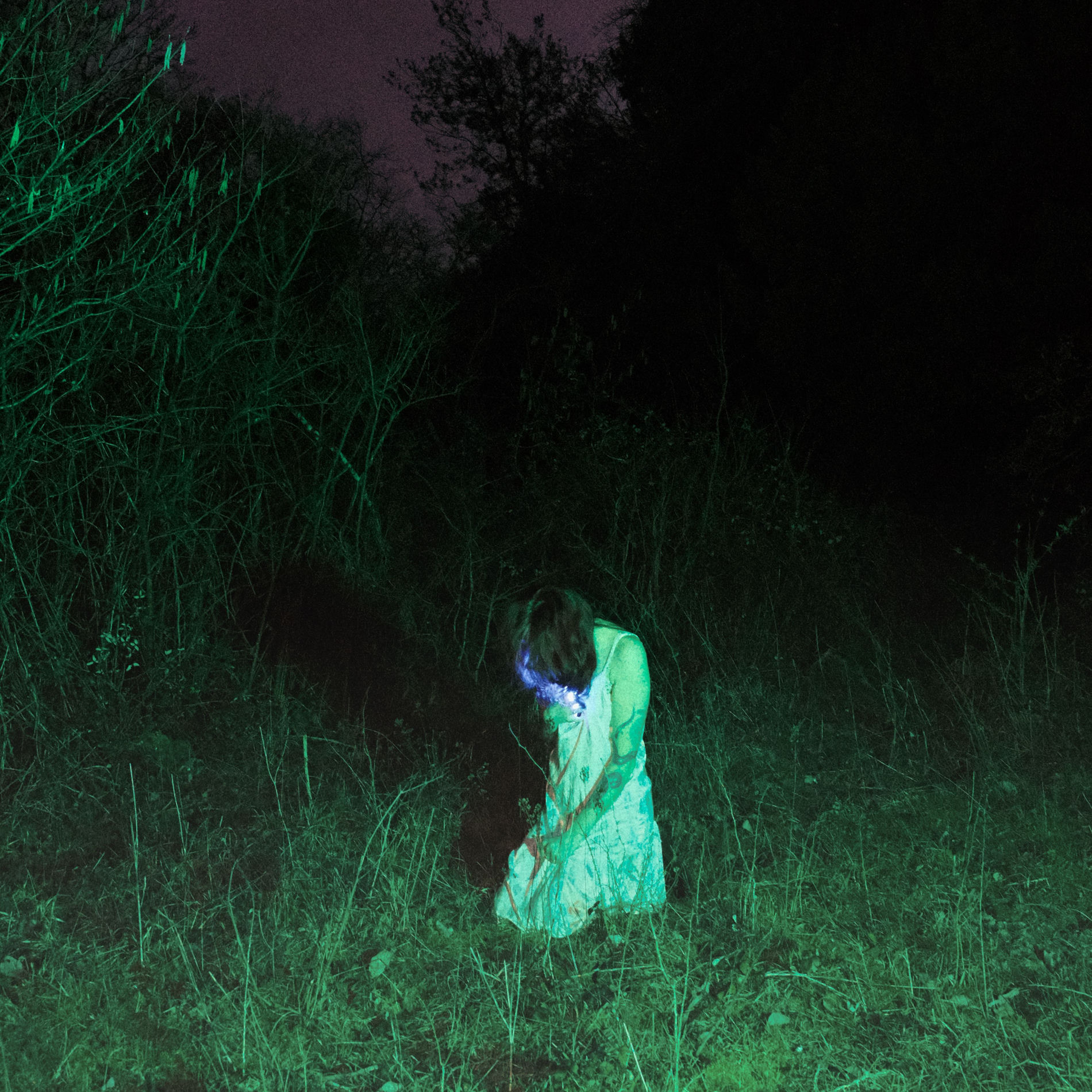 Album cover of 405