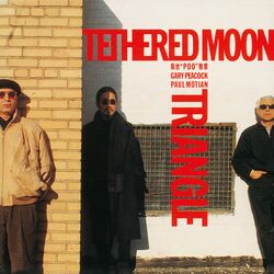 Cover of TETHERED MOON / TRIANGLE