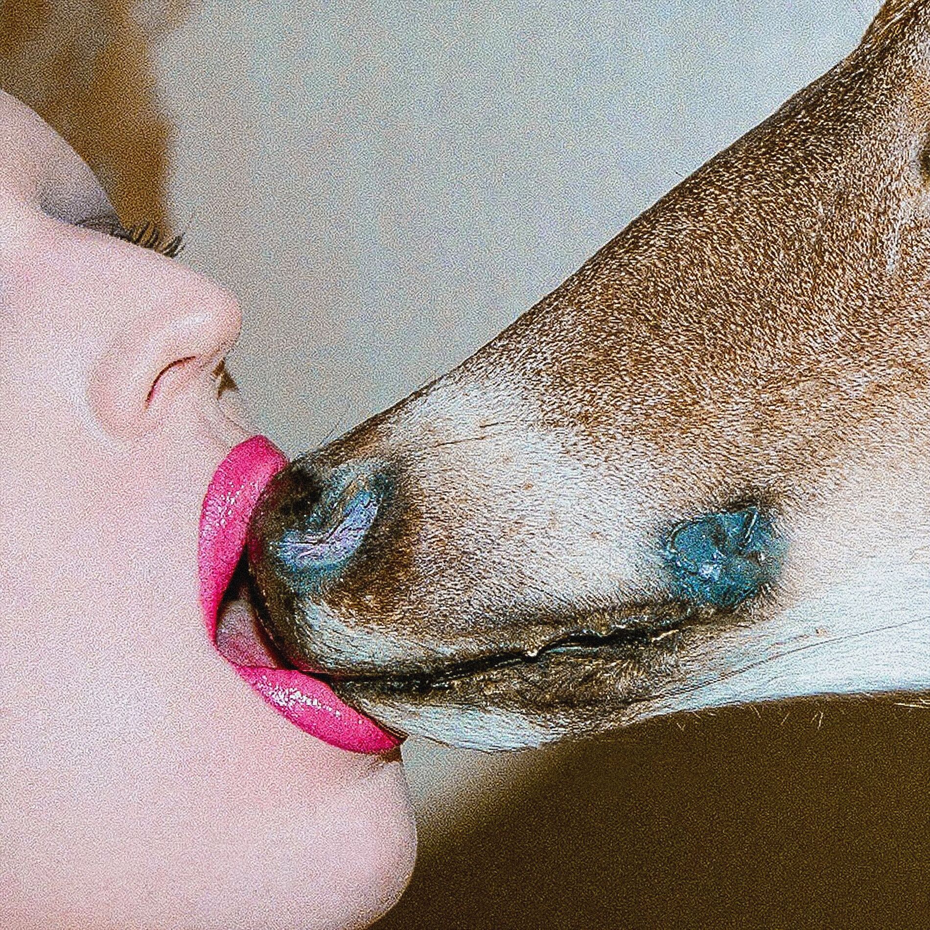 Album cover of Cold Touch