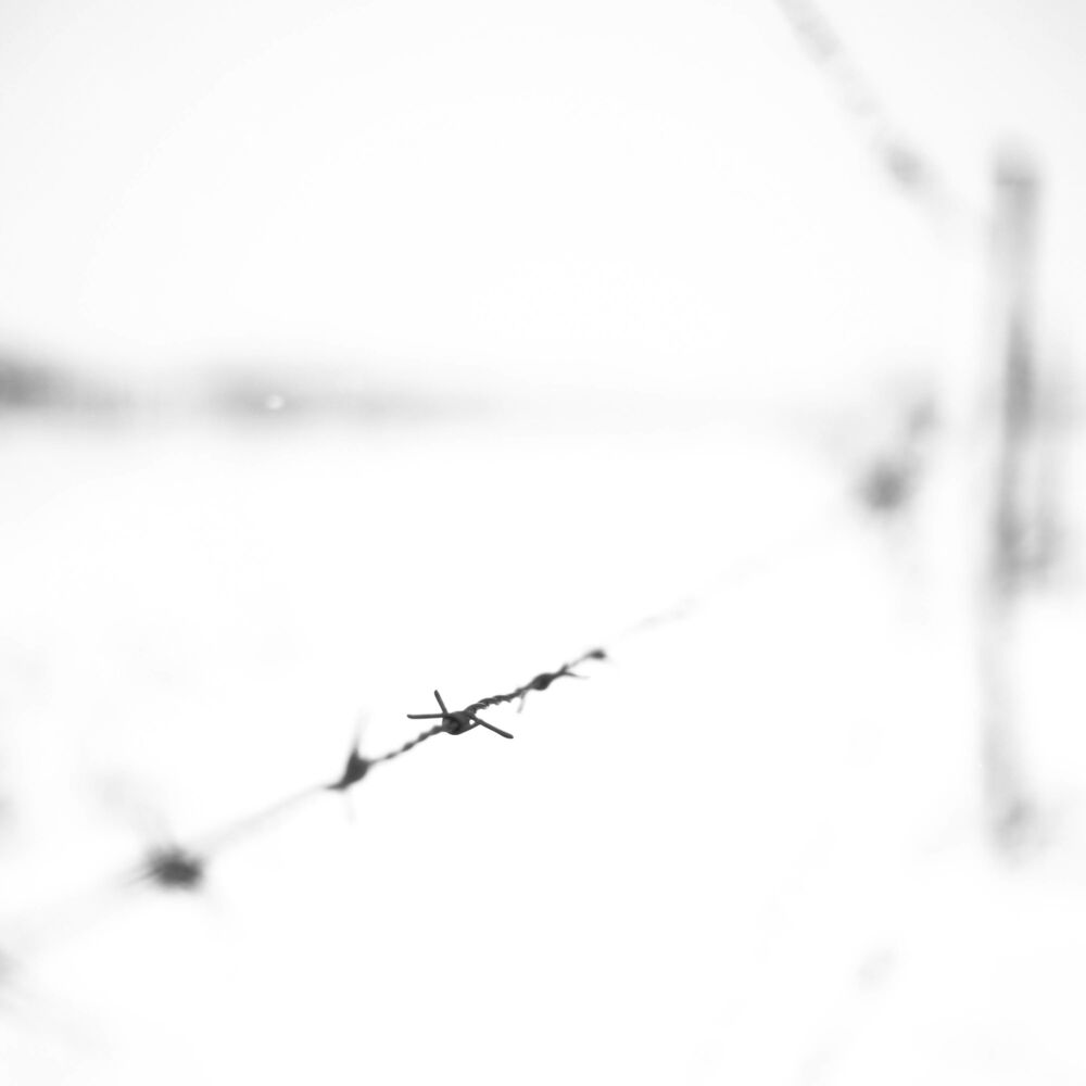 Picture of 失望した
