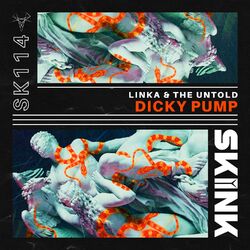 Cover of Dicky Pump
