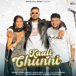Cover of Kaali Chunni