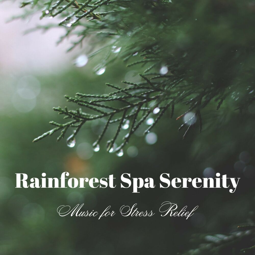 Picture of Rainforest Spa Serenity: Music for Stress Relief
