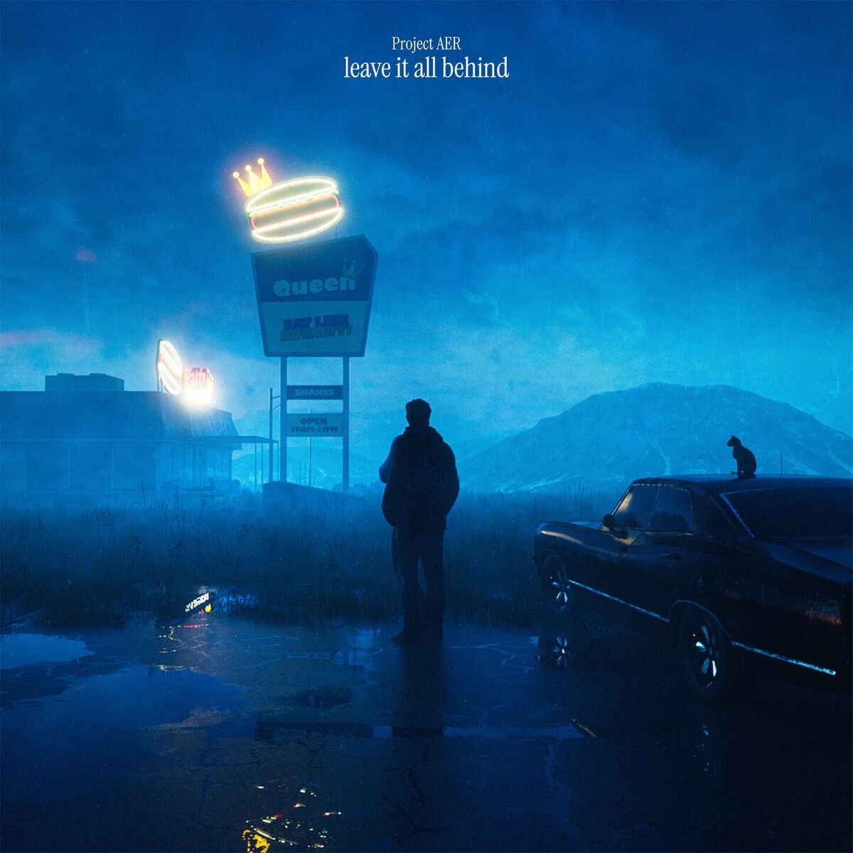 Album cover of leave it all behind
