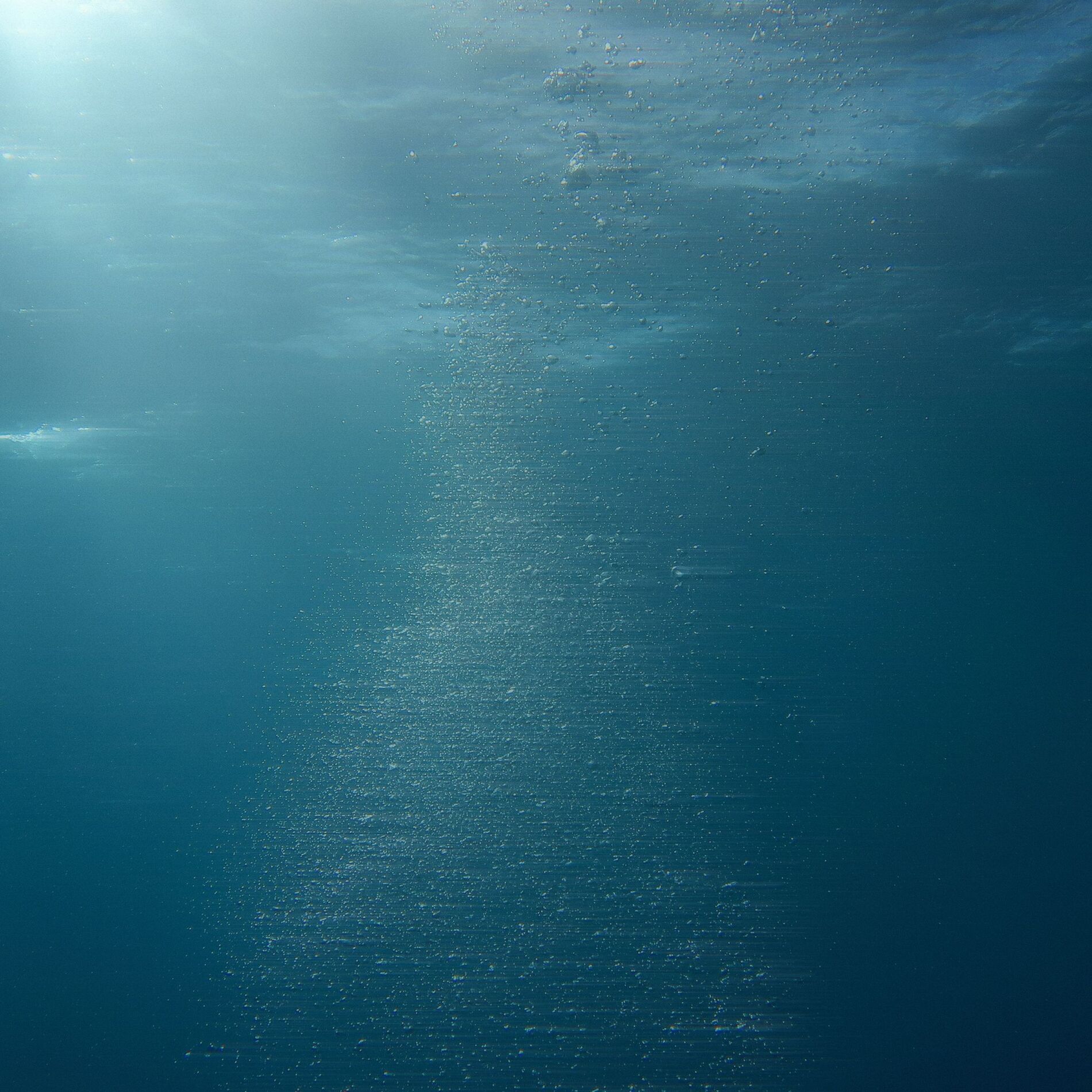 Album cover of Pure Shores
