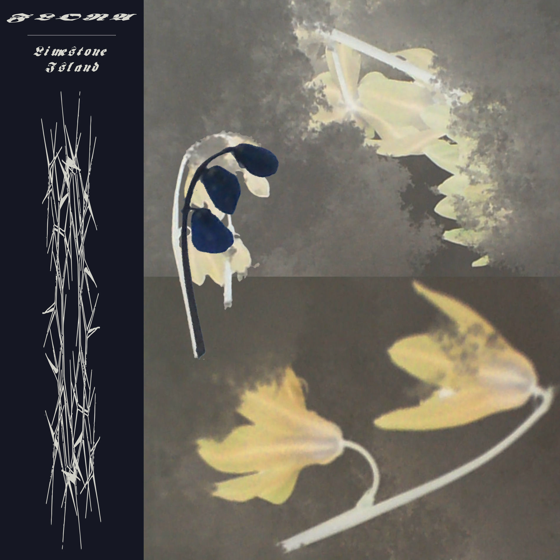 Album cover of Limestone island