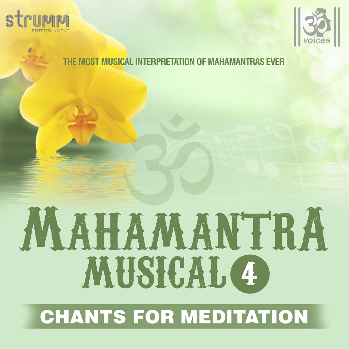 Album cover of Mahamantra Musical, Vol. 4