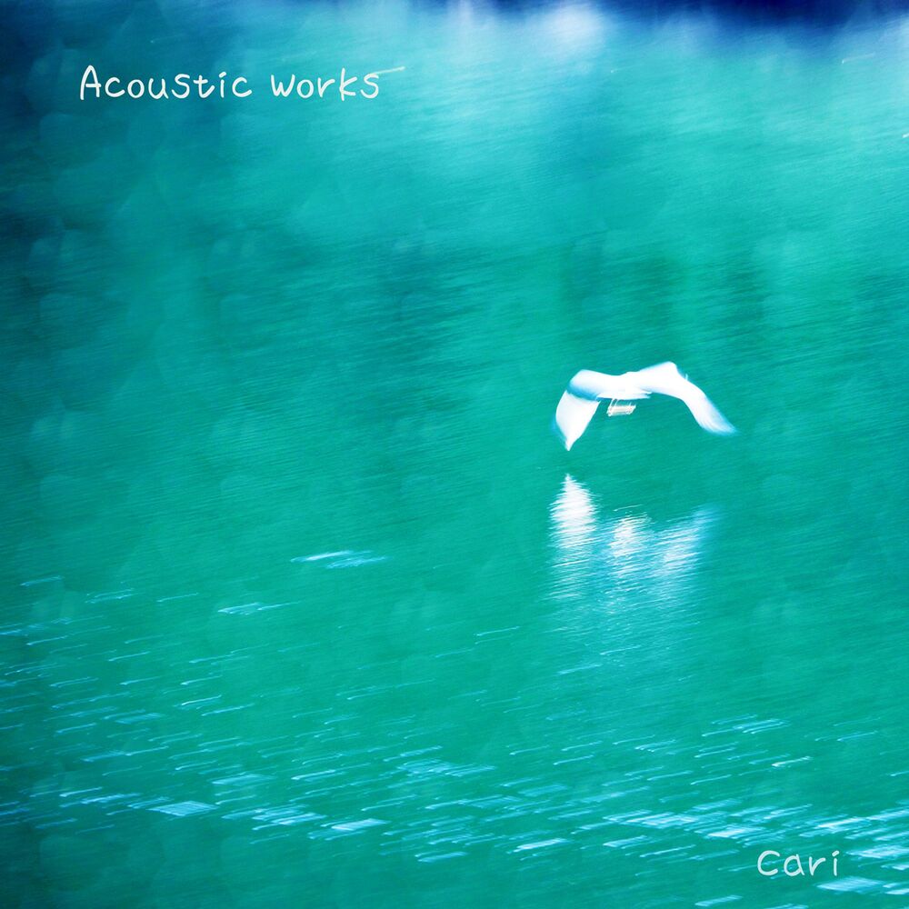 Picture of Acoustic Works