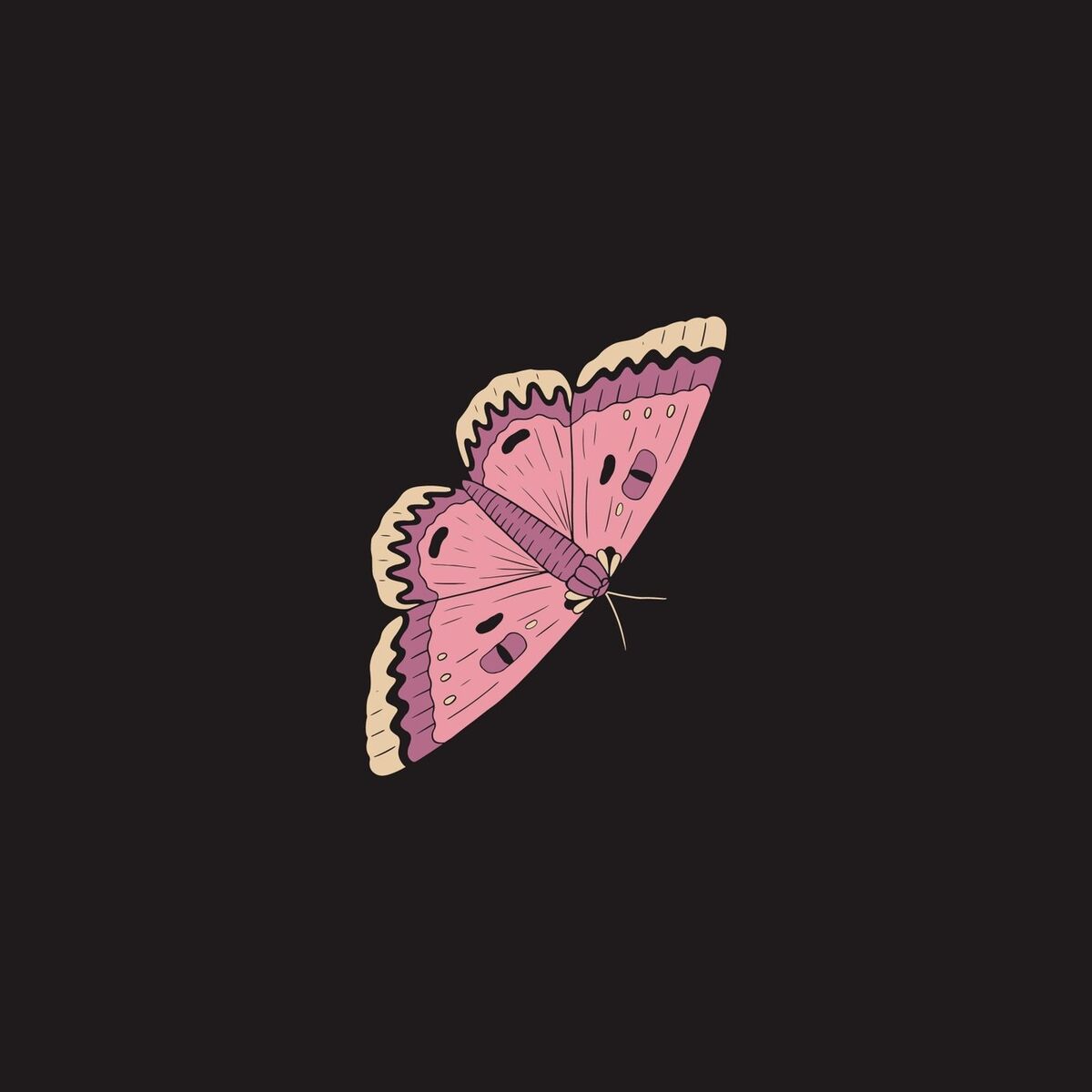 Album cover of Not a Trick of the Eye