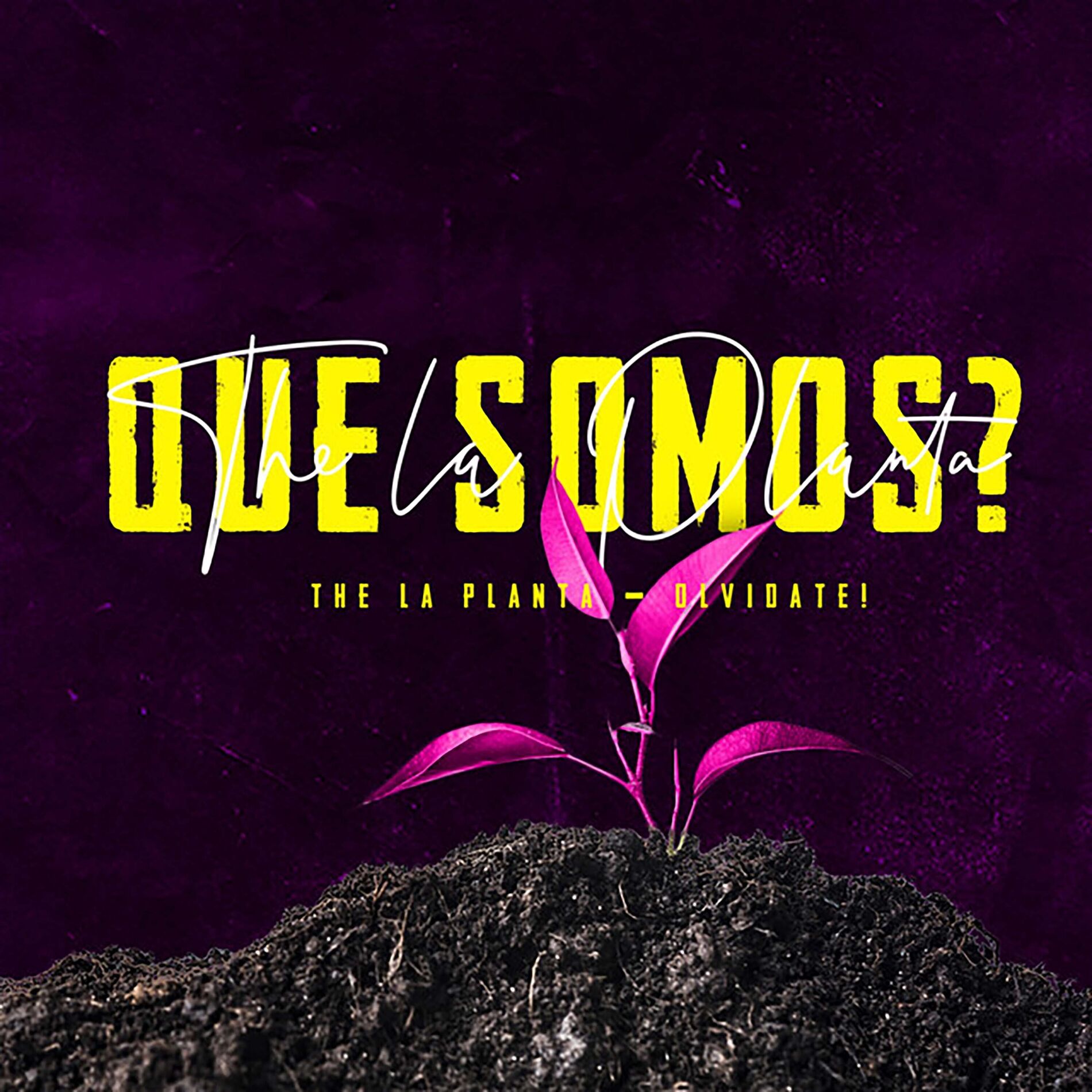 Album cover of Que Somos?