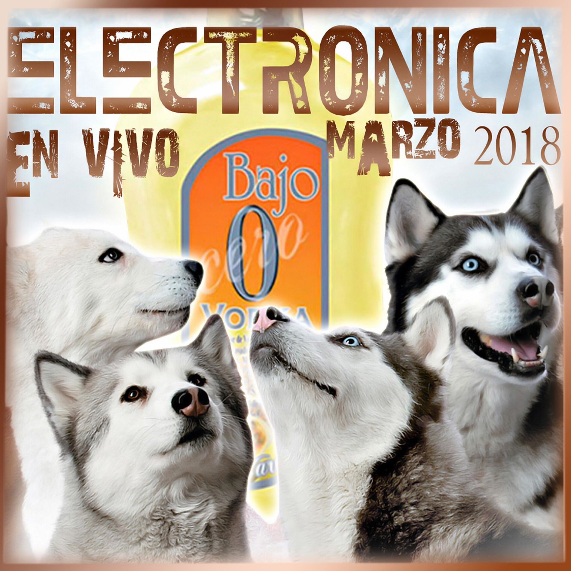 Album cover of Electronica Bajo 0