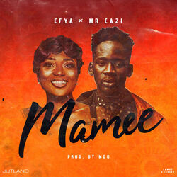 Cover of Mamee