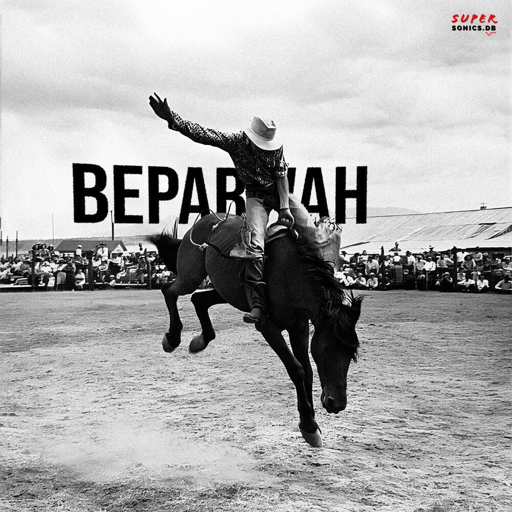 Picture of Beparwah