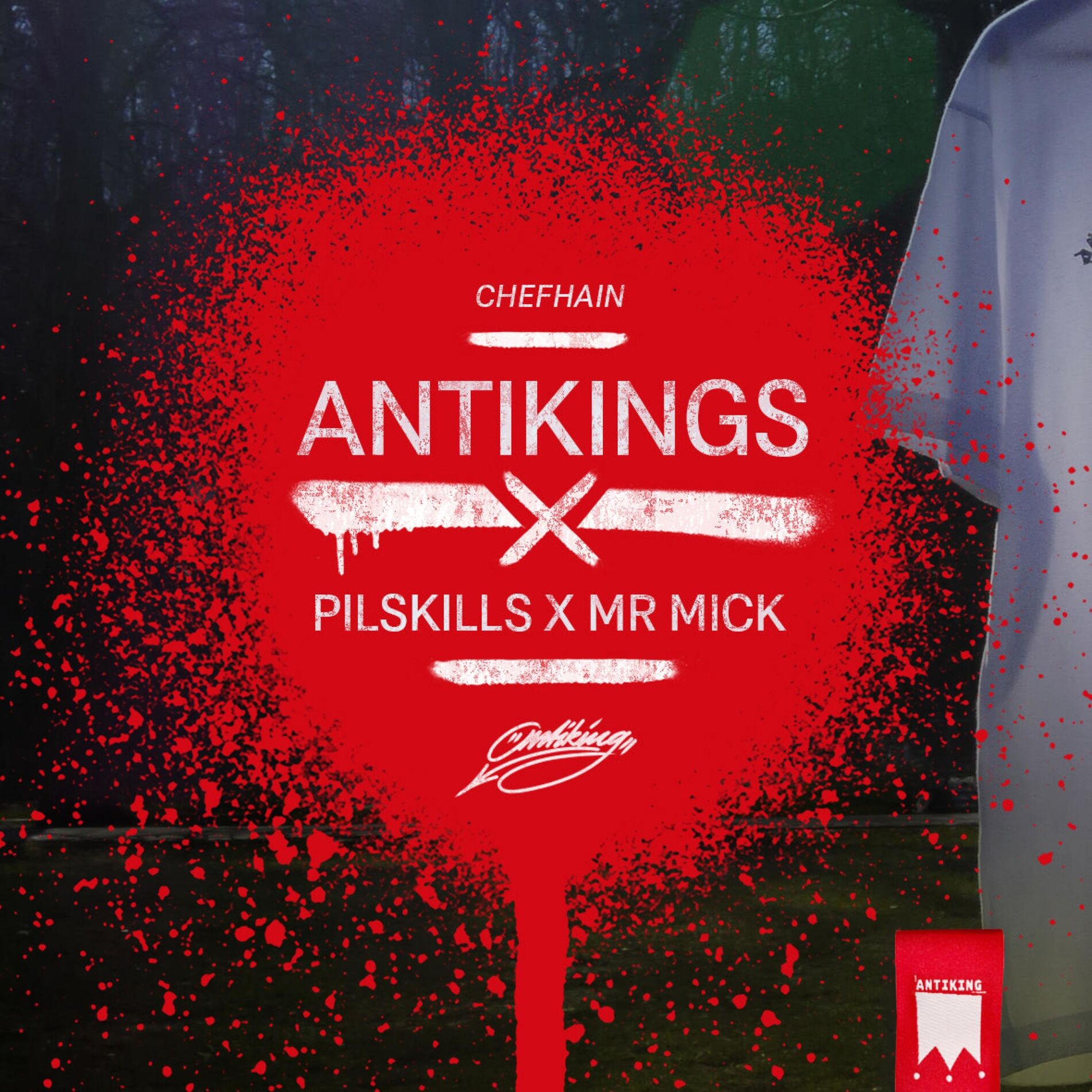 Album cover of Antikings