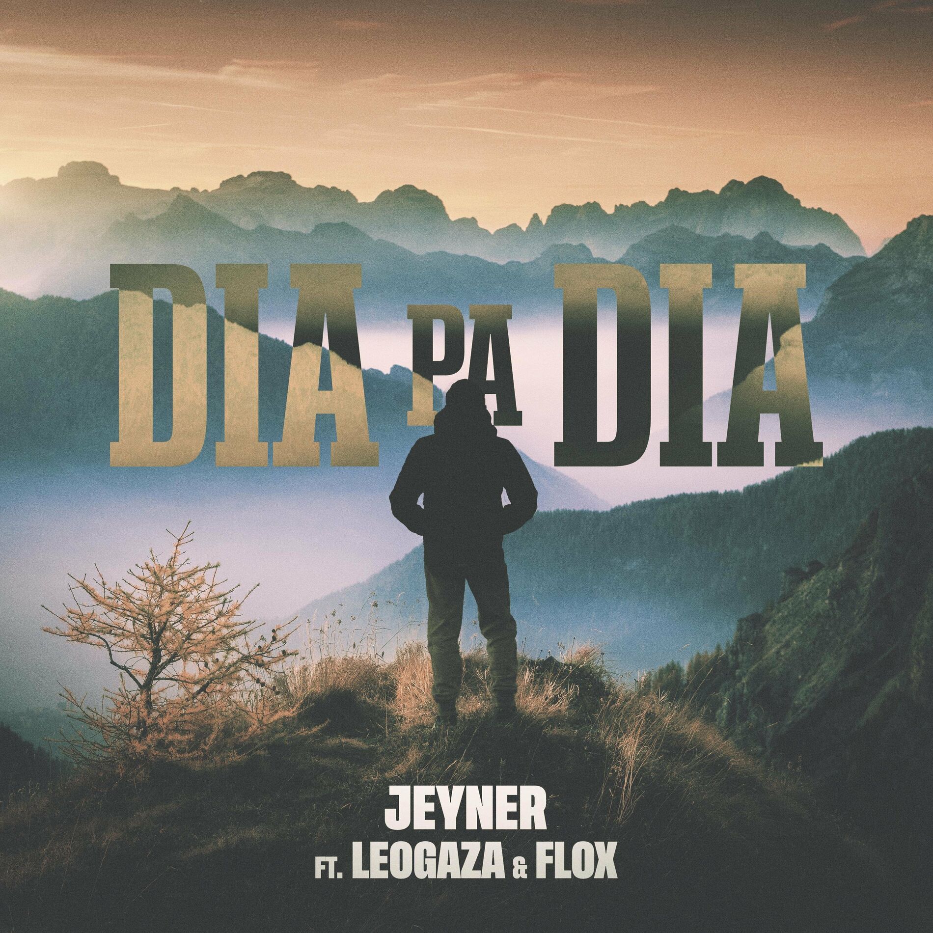 Album cover of Dia pa dia (feat. LeoGaza & Flox)