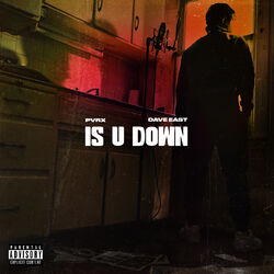 Cover of Is U Down