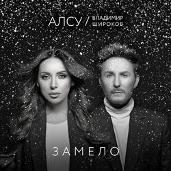 Cover of Замело