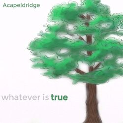 Cover of Whatever Is True